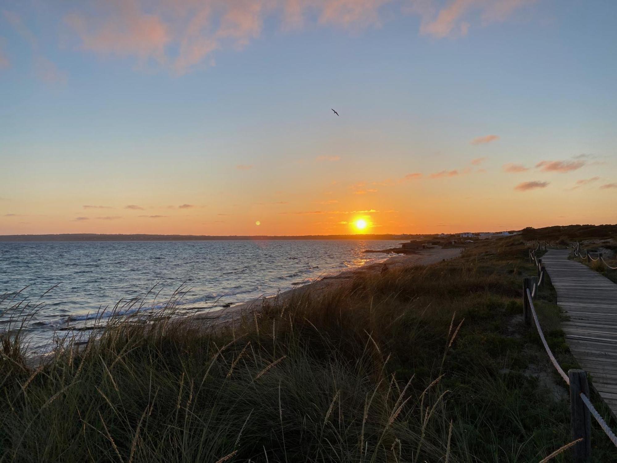 Voga Mari - Astbury Formentera Daire Playa Migjorn Dış mekan fotoğraf